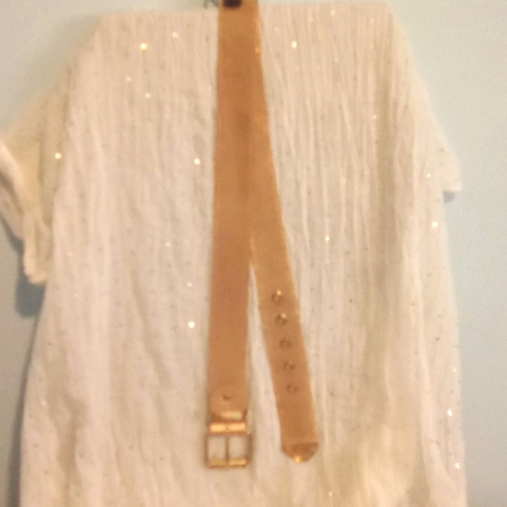 Gold Metal Mesh Belt